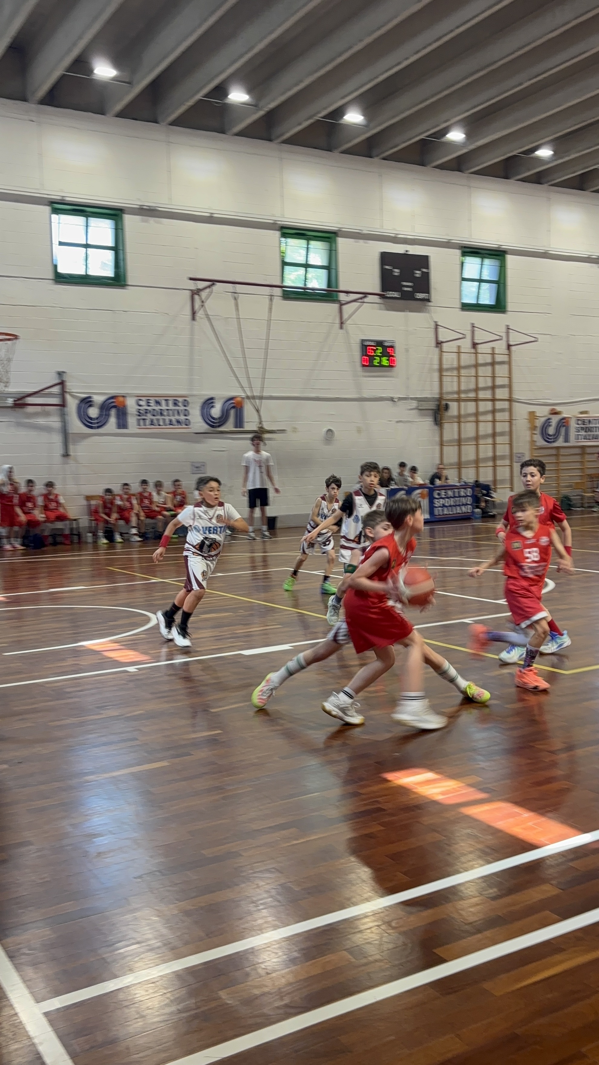 IMG_4042_66362006.jpg