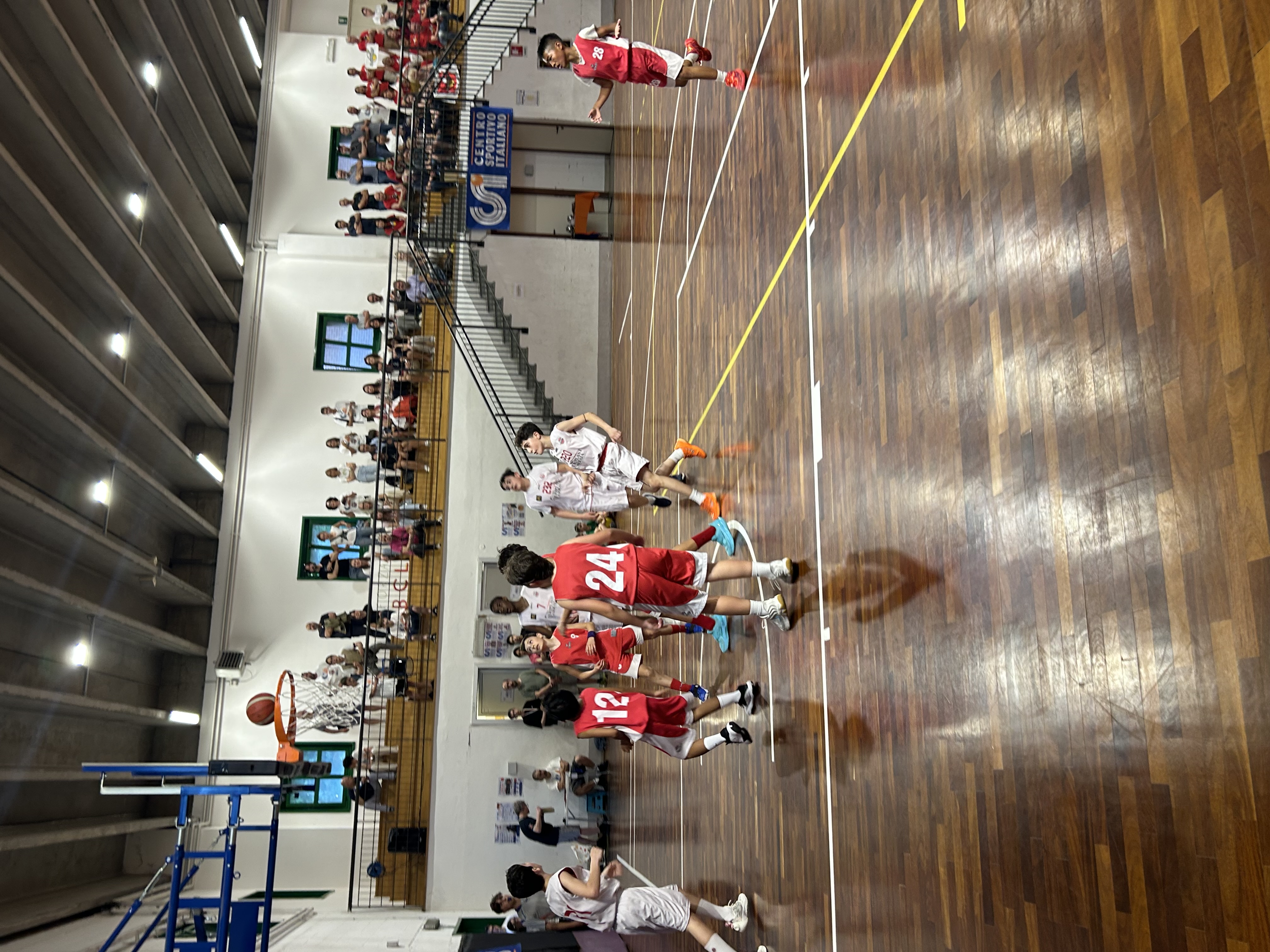 IMG_1264_41c396c5.jpeg